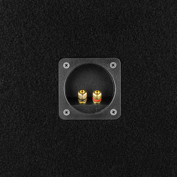 PANCADAO Ported box with 2 X 12