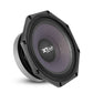 XT-8PA- PLUS 8″ | 1000w Max | Speaker